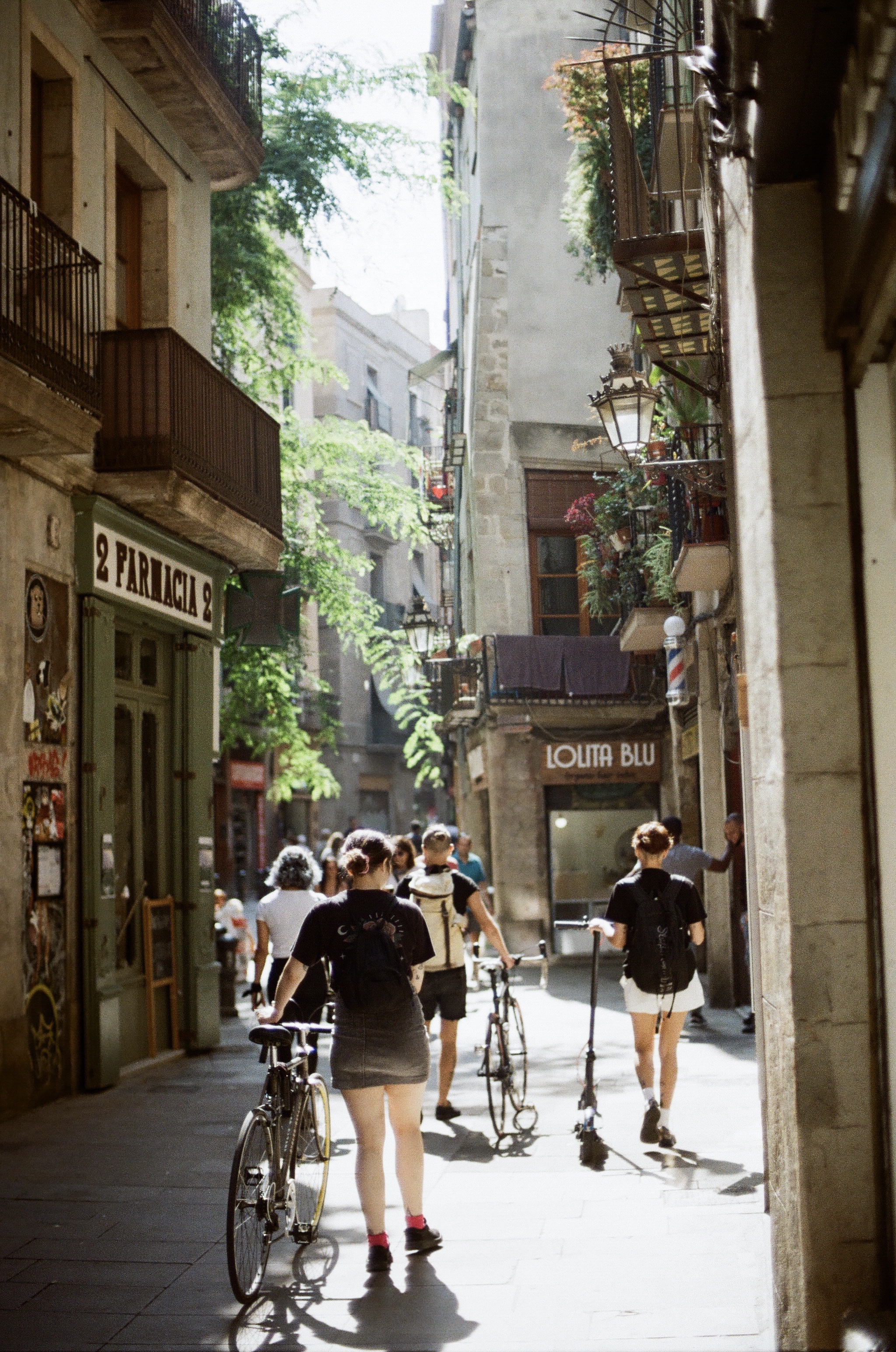 BCN1